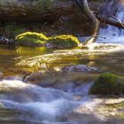 Bach im Wasserfallengebiet