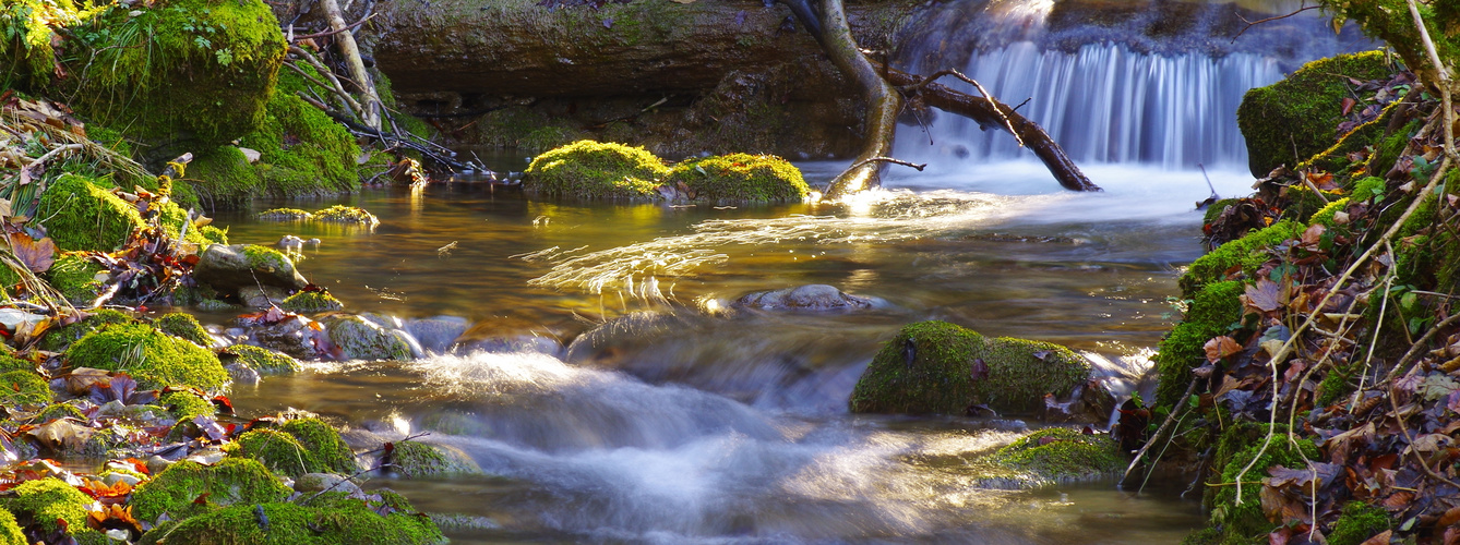 Bach im Wasserfallengebiet