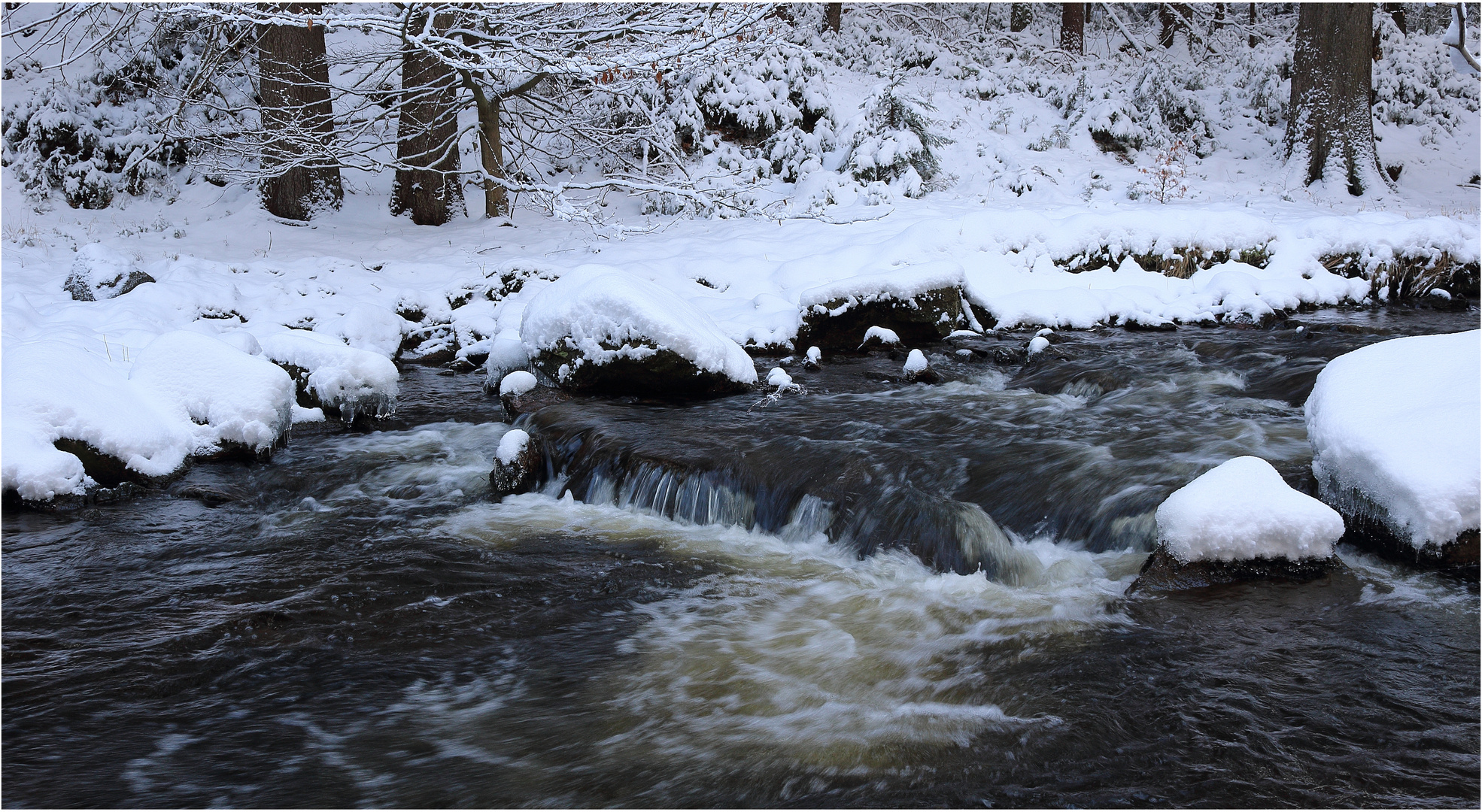 Bach im Winter (2)