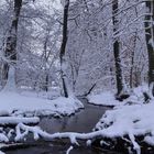 Bach im Winter