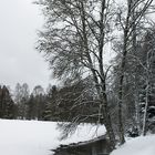 Bach im Winter