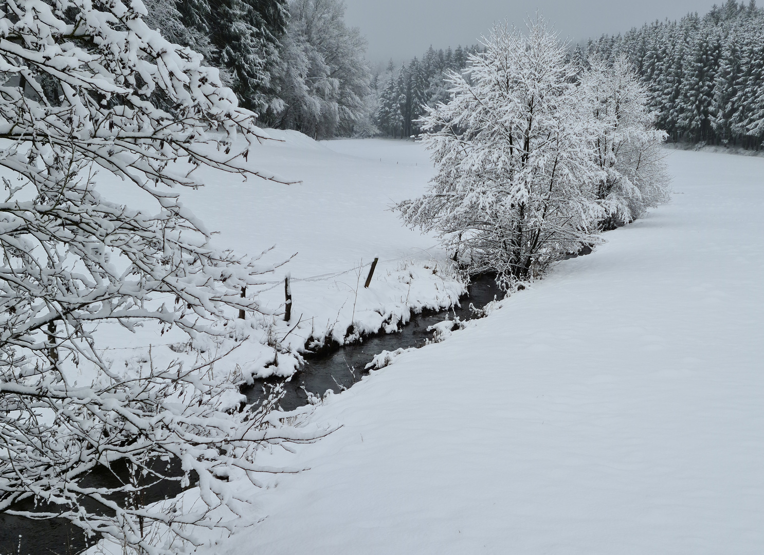 Bach im Winter