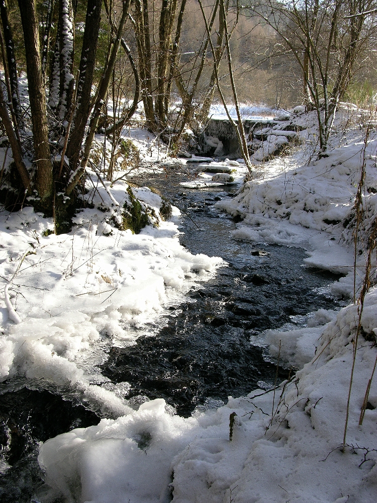 Bach im Winterkleid