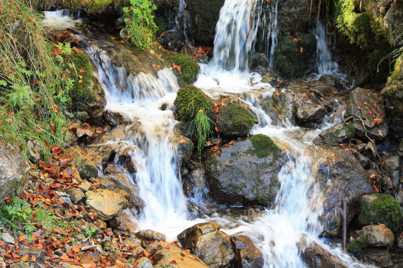 Bach im Zillertal