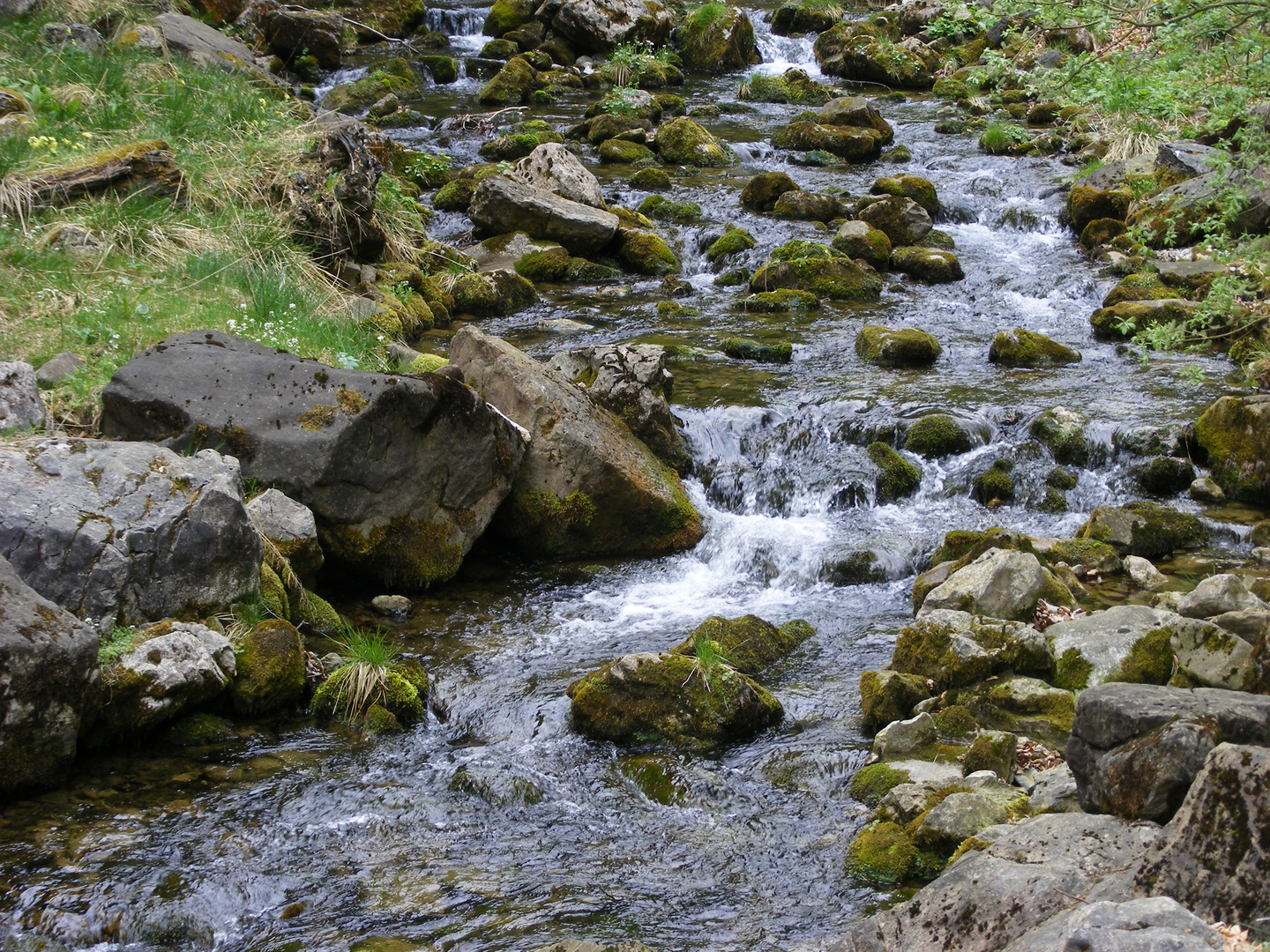 Bach in Appenzell