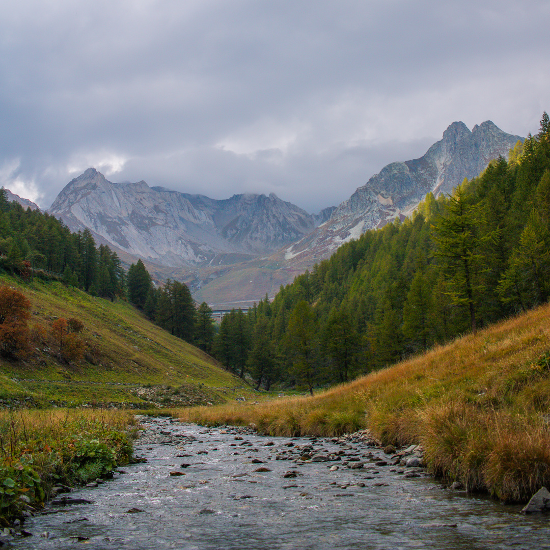 Bach in den Alpen