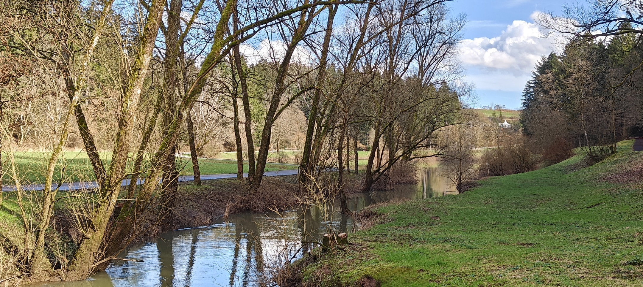 Bach in den Leinecksee 