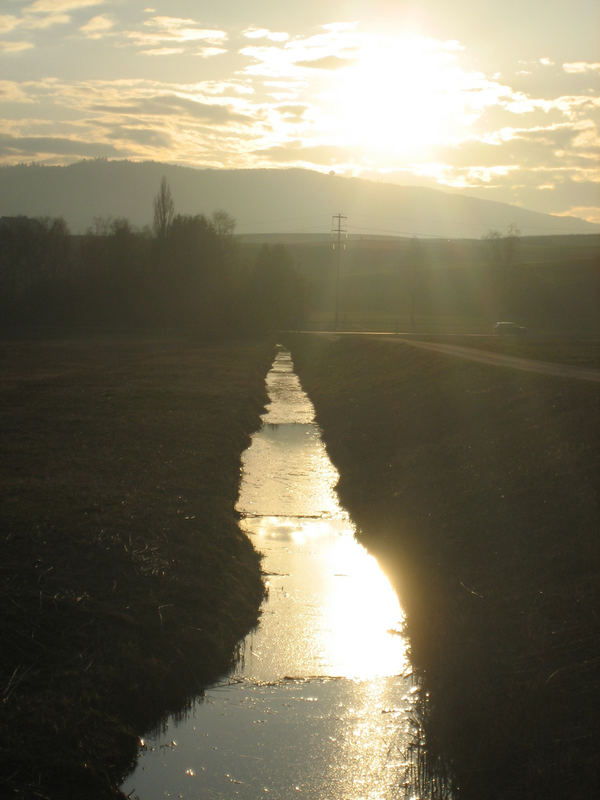 Bach in der Abendsonne