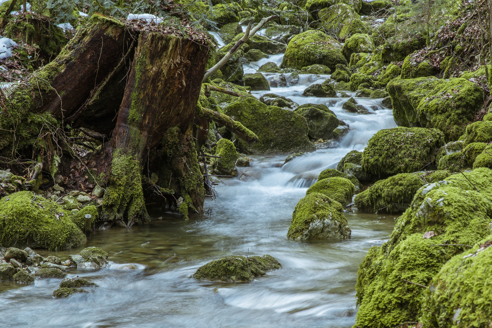 Bach in der Teufelsschlucht