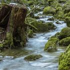 Bach in der Teufelsschlucht