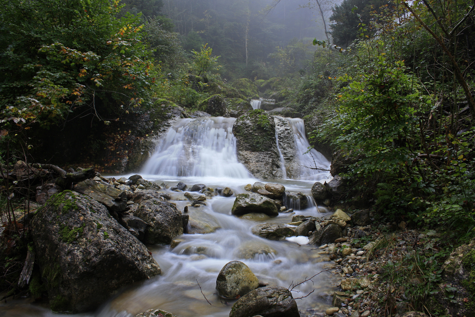 Bach in Schübelbach-Buttikon