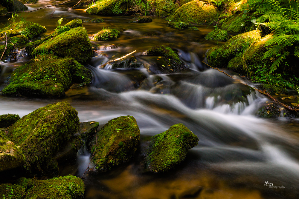 Bach in unberührter Natur