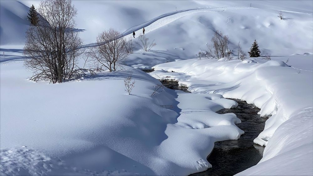 Bach in Winterkleid