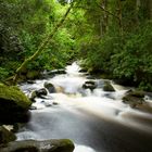 Bach / Irland - Killarney Nationalpark