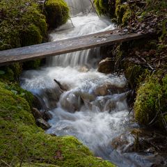 Bach LZ Forchach Baggersee