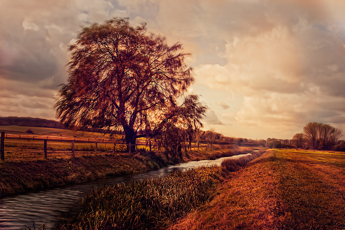 Bach mit Baum und Wiese