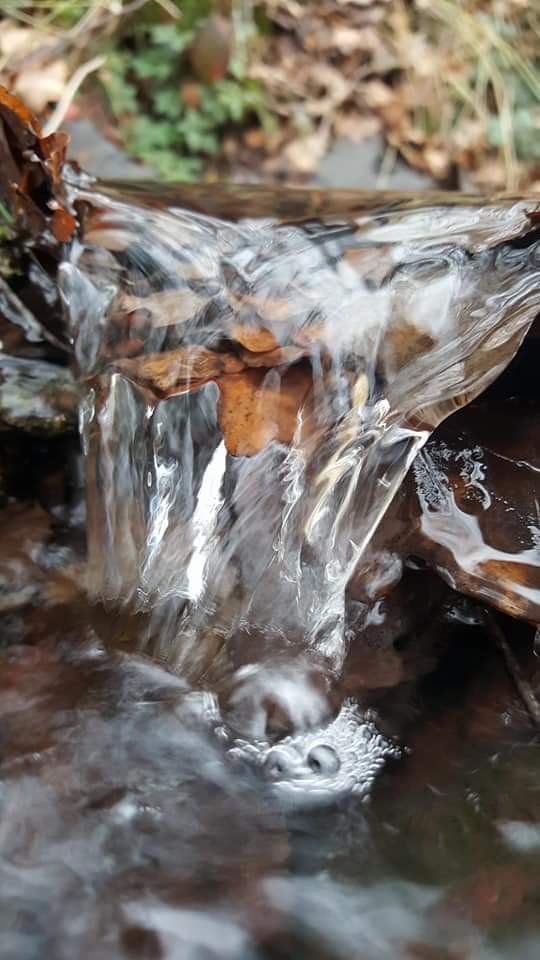 Bach mit kleinem Wasserfall und Blätter 