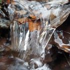 Bach mit kleinem Wasserfall und Blätter 