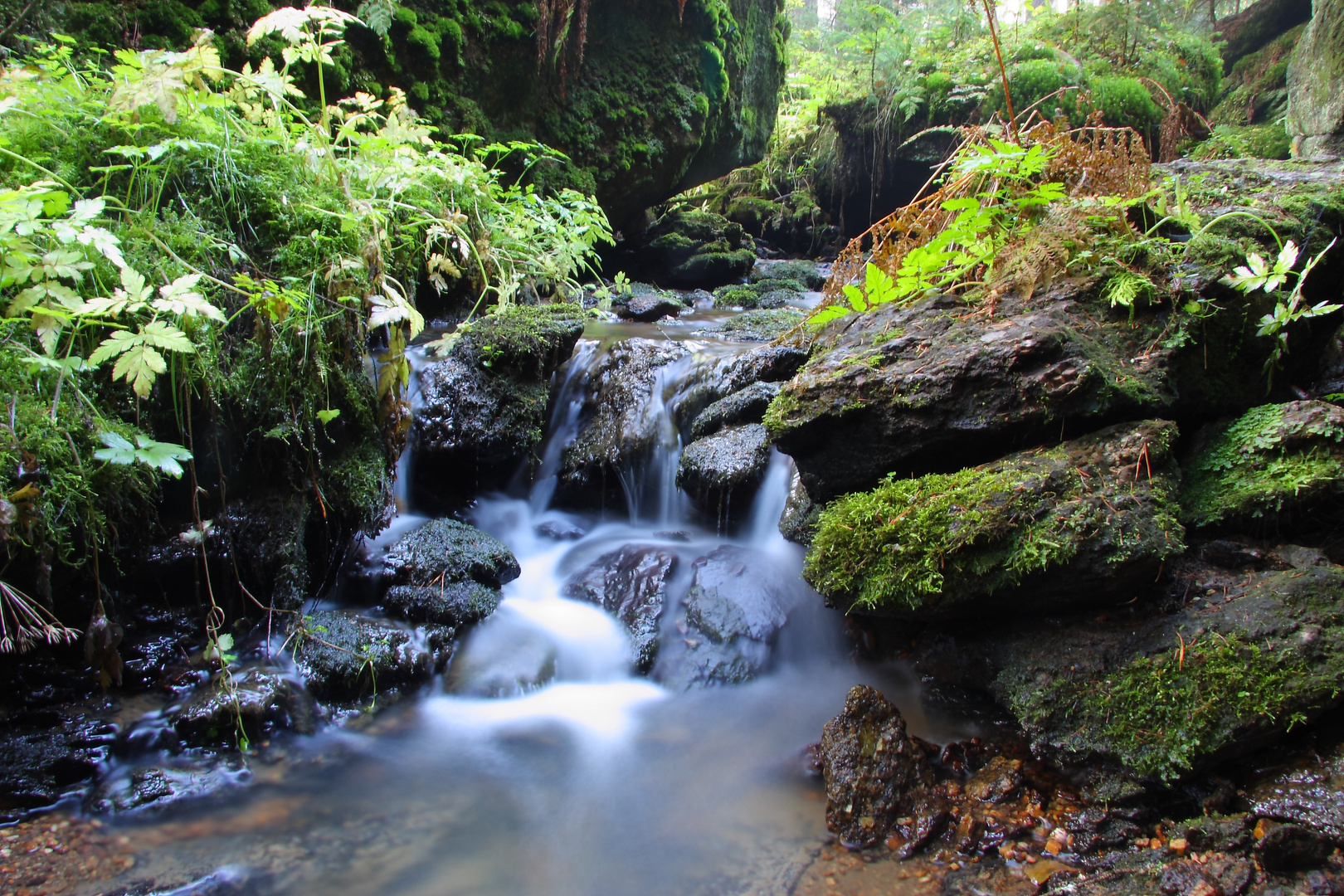 Bach nähe Sauerbrunnen im Waldnaabtal/Oberpfalz