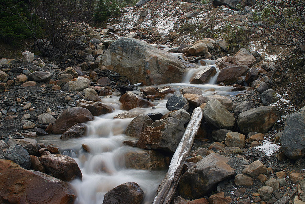 Bach nahe Angel Glacier, Jasper N.P.