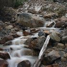 Bach nahe Angel Glacier, Jasper N.P.