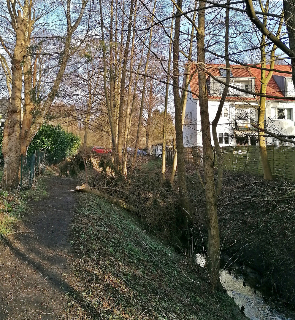 Bach und Baum und Sturm und ein Kleiderbügel