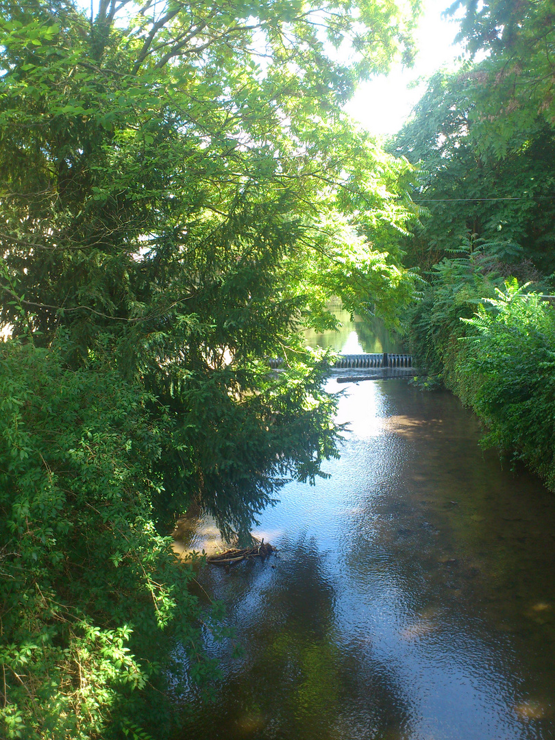 Bach Und Natur 