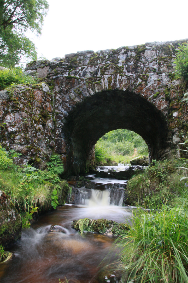 Bach unter alter Brücke