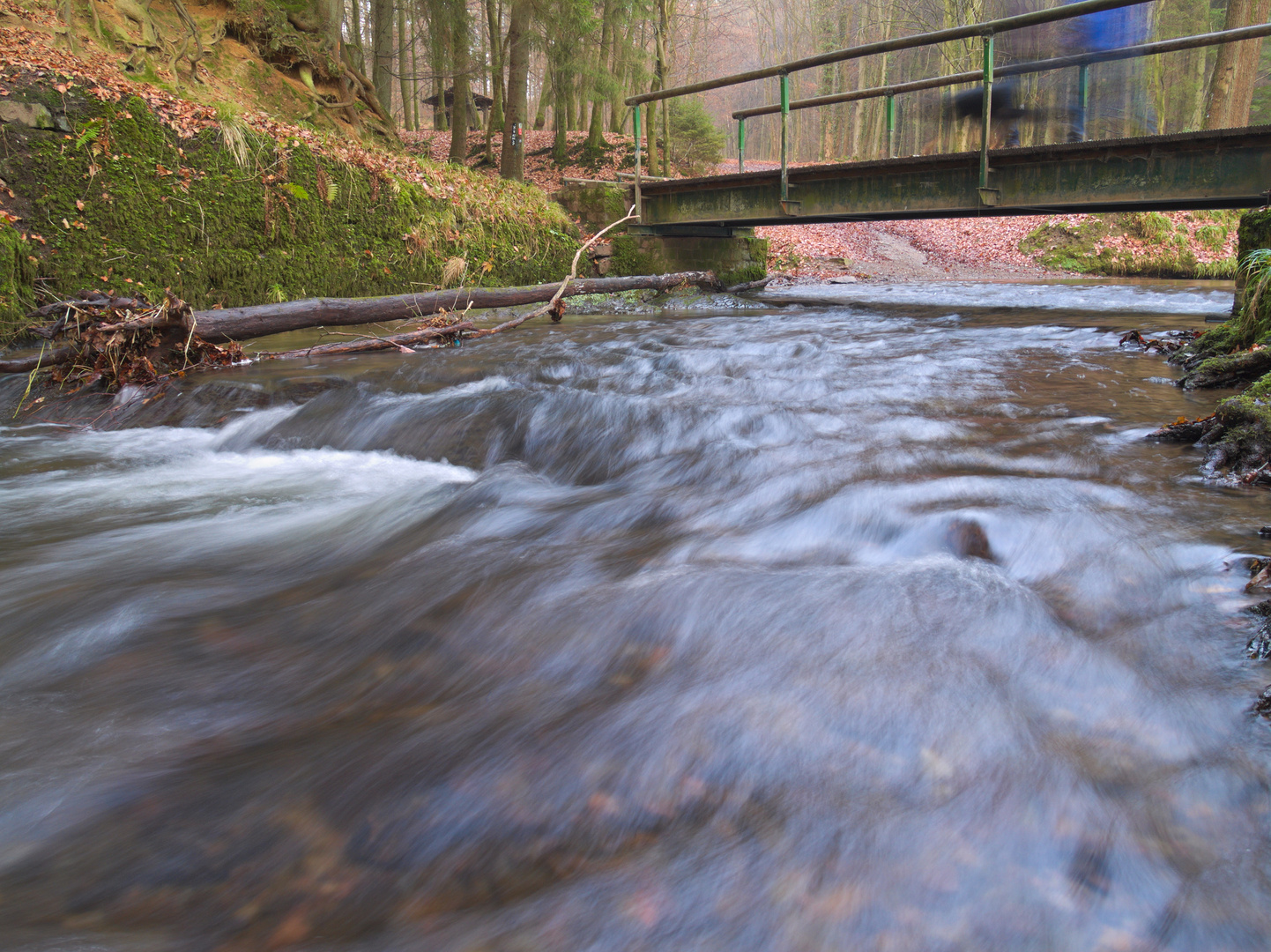 Bach unter Brücke