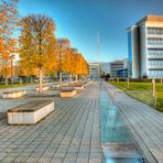 Bach unter Glas auf dem Campus von SAP Walldorf