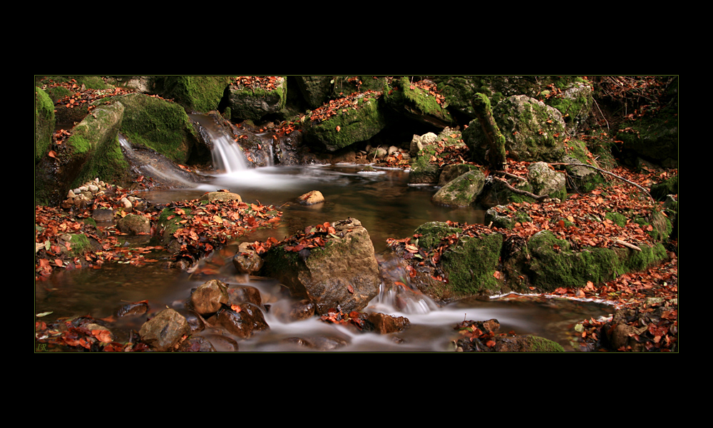 Bach - Wald - Herbst