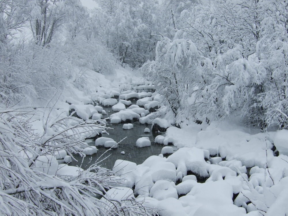 Bach Wysswasser in Fiesch/Wallis