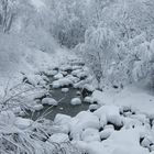 Bach Wysswasser in Fiesch/Wallis