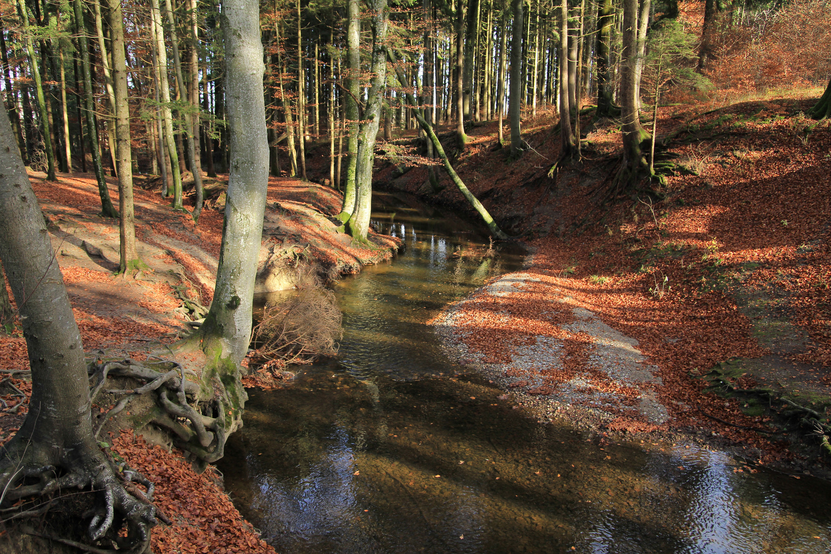 Bach zum Maisinger See