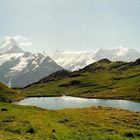 Bachalpsee