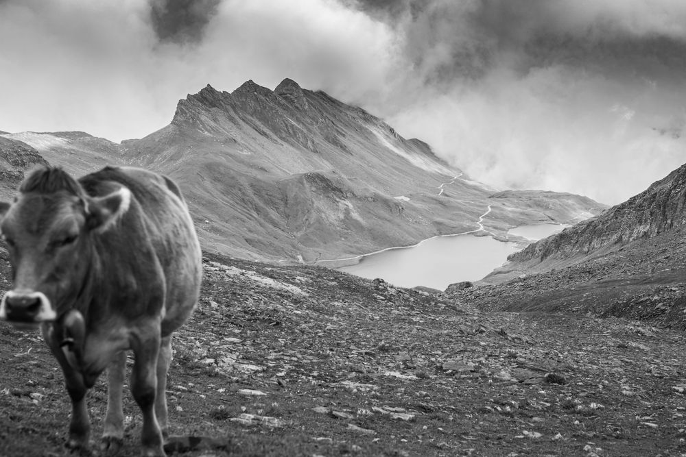 Bachalpsee