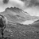 Bachalpsee