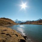 Bachalpsee