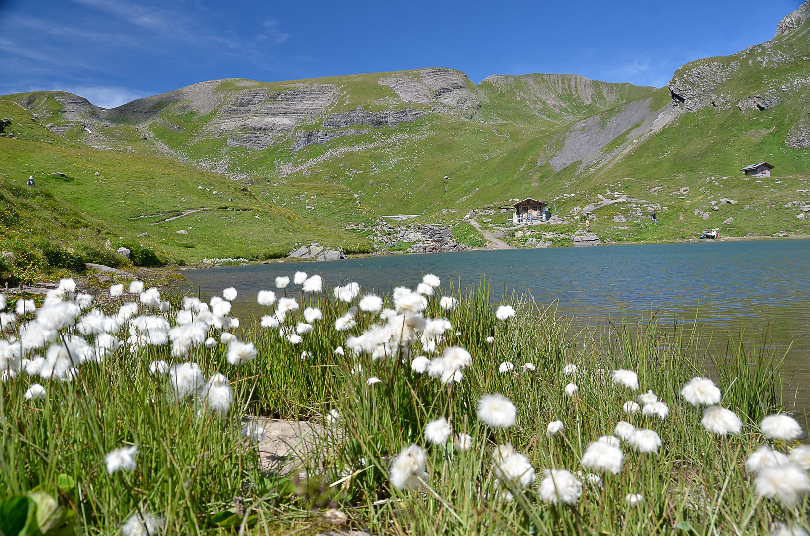 Bachalpsee