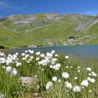 Bachalpsee