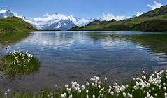 Bachalpsee