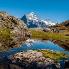 Bachalpsee