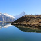 Bachalpsee bei Grindelwald