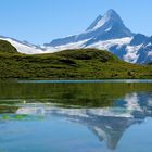 Bachalpsee Berneroberland