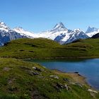 bachalpsee (ch)