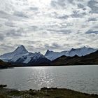 Bachalpsee Grindelwald 2