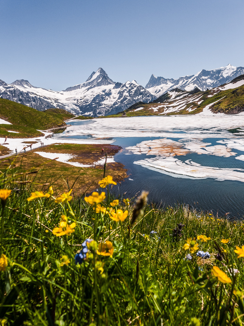 Bachalpsee, Grindelwald First, Schweiz