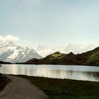 Bachalpsee mit Finsteraahorn