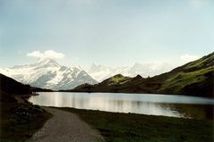 Bachalpsee mit Finsteraahorn