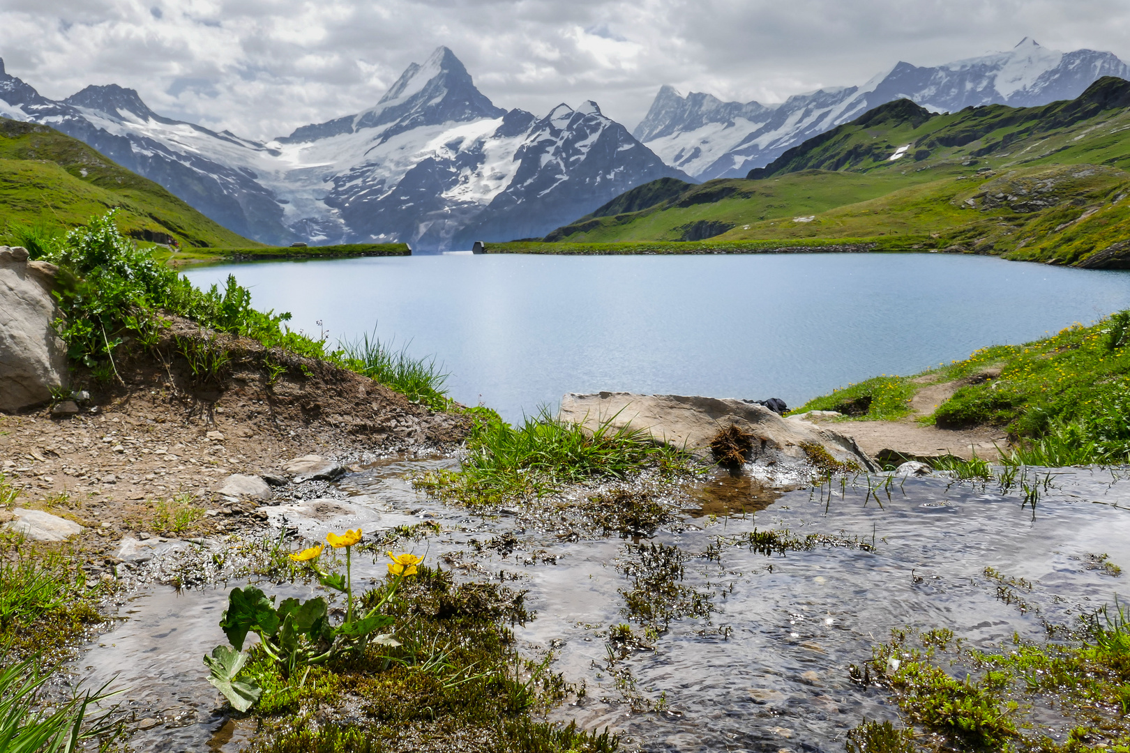 Bachalpsee mit Schreckhorn 4078m